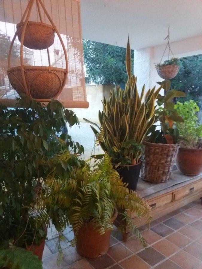 Casa Eline De Lujo Casco Antiguo Altea Piscina Privada Y Jardin Villa Luaran gambar